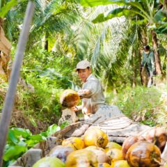 Namture werkt aan een wereld zonder plastic